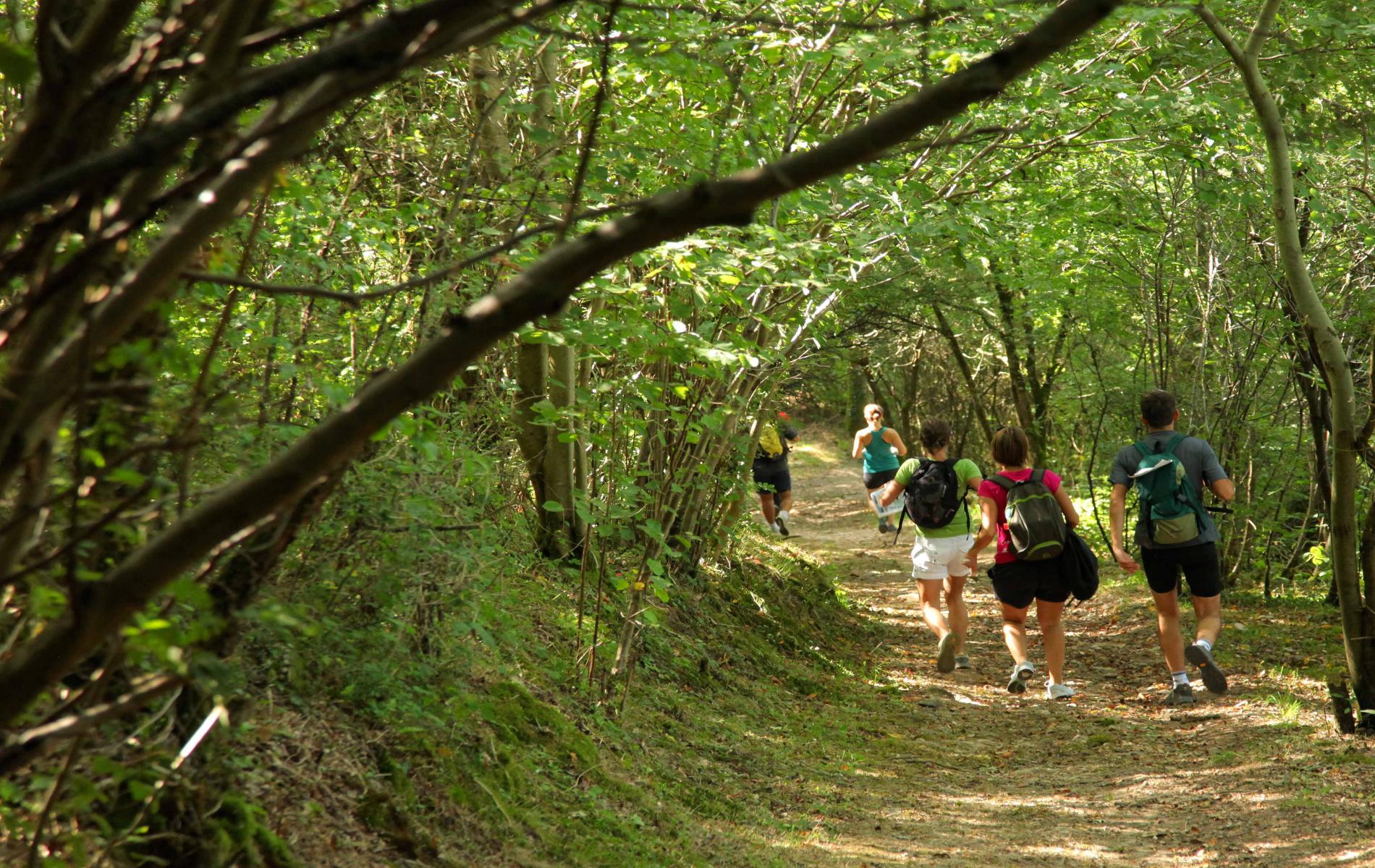 image Parcours Santé Mer et Campagne