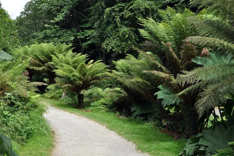 Jardin du Conservatoire botanique national de Brest