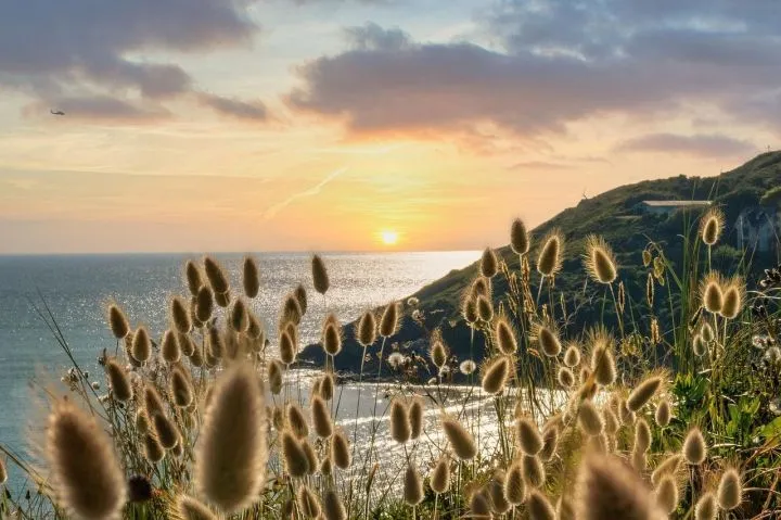 image image La Ferme des Mares Demeures et Chateaux Hôtels