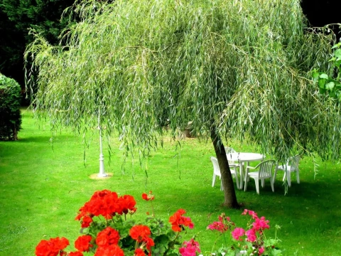 image Hôtel de charme en Corrèze